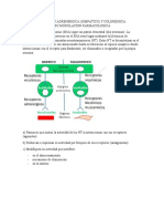 Neurotransmision Adrenergica y Su Modulacion Farmacologica