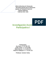 Investigacion Accion Participativa