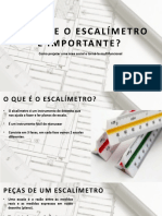 Escalimetro PTG