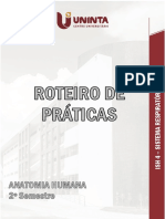 ROTEIRO DE ANATOMIA ISH 05 - Respiratório 2020-2