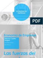 Presentación 5 Economia de Empresas