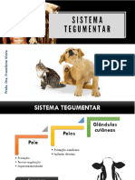 Sistema Tegumentar