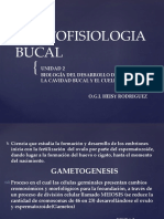 Morfofisiologia Bucal