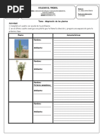 Guia 2 A-B Adaptacion de Las Plantas