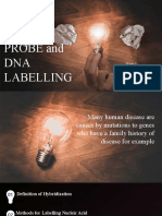 Probe and DNA Labeling