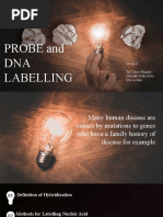 Probe and DNA Labeling