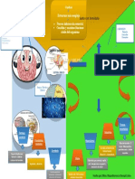 Anatomía Del Cerebro