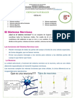 Ciencias Naturales 5° 2020