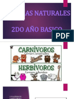 Animales Carniboros y Herbivorosssssssssssssss