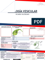 Patología Vesicular y Pancreatica