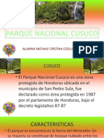 Parque Nacional Cusucoprotege gran biodiversidad en Honduras