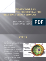 Copia de Diagnostico de Las Infecciones Producidas - V. B. H.