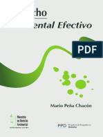 Derecho Ambiental Efectivo 1