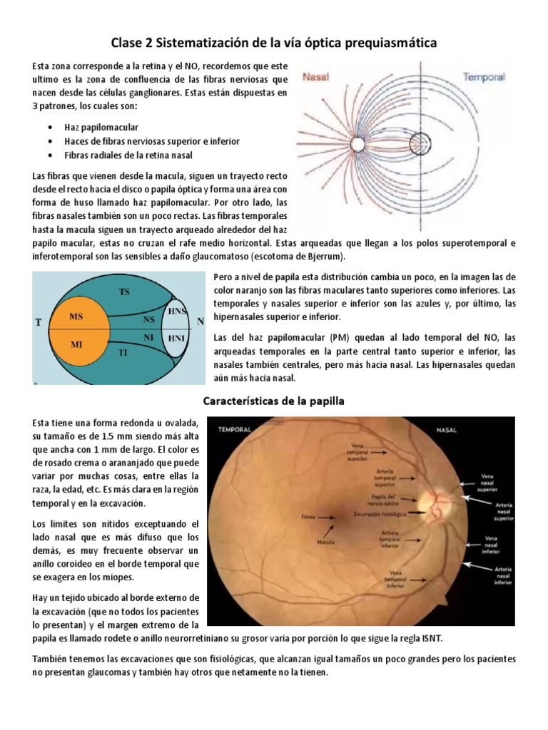 alteraciones-del-campo-visual-y-neuritis-ptica-pdf-ojo-humano