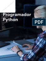 Programador Python Compressed