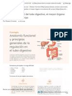 Anatomía Funcional Del Tubo Digestivo, El Mayor Órgano Inmunitario Del Cuerpo