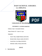 Informe 8