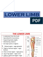 Lower Limb: Osman Y. 1