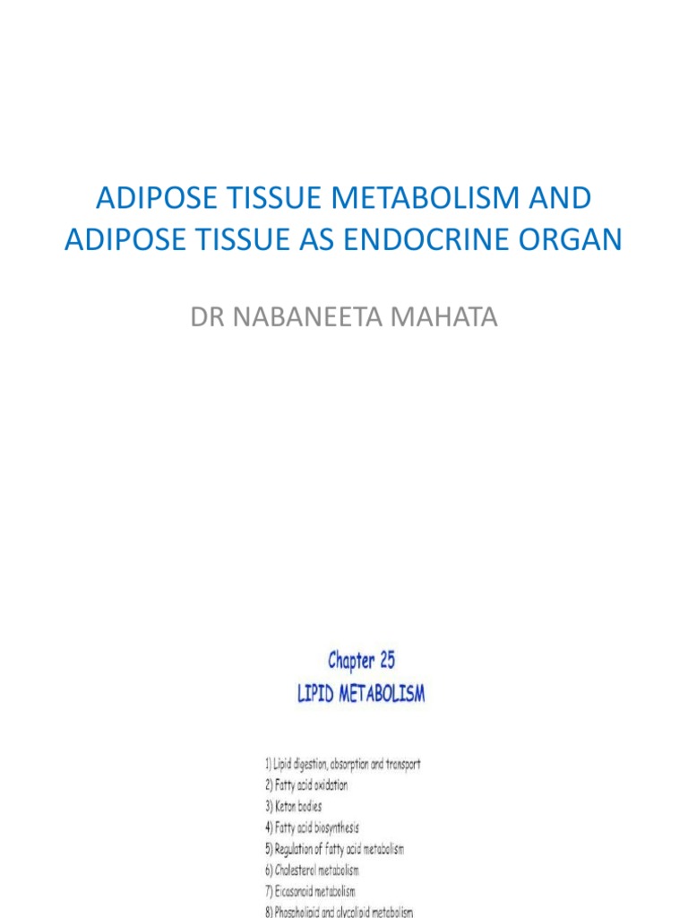 Adipose Tissue Metabolism and Adipose Tissue As Endocrine | PDF | Self ...