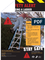 Poster - Using A Ladder