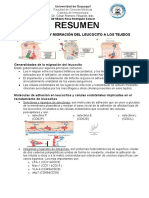 Cap 3 Resumen Tarea