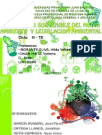 Desarrollosostenibledelmedioambienteylegislacinambiental Exponer 111030163601 Phpapp02
