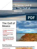 The Gulf of Mexico: A Productive Yet Threatened Ocean Basin