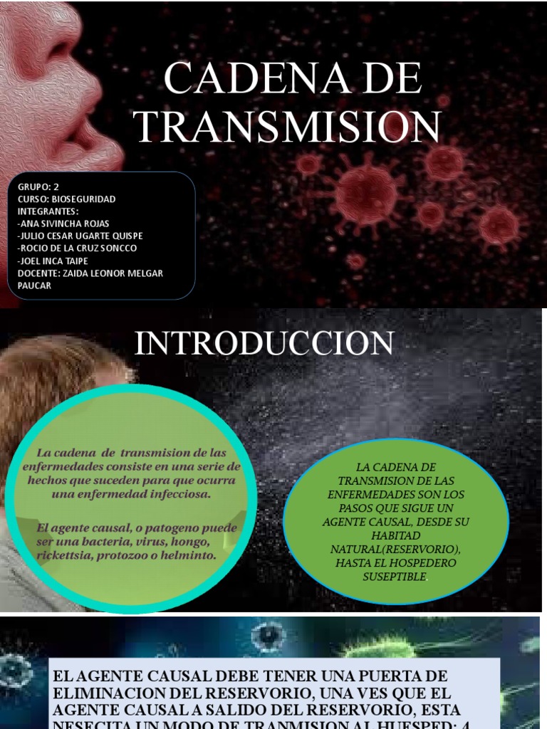 Cadena de Transmision 2 | PDF | Infección | Virus