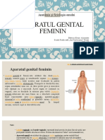 Aparatul Genital Feminin