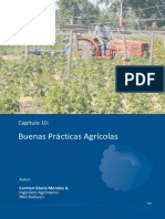 Buenas Practicas Agricolas