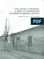 Capital social y violencia