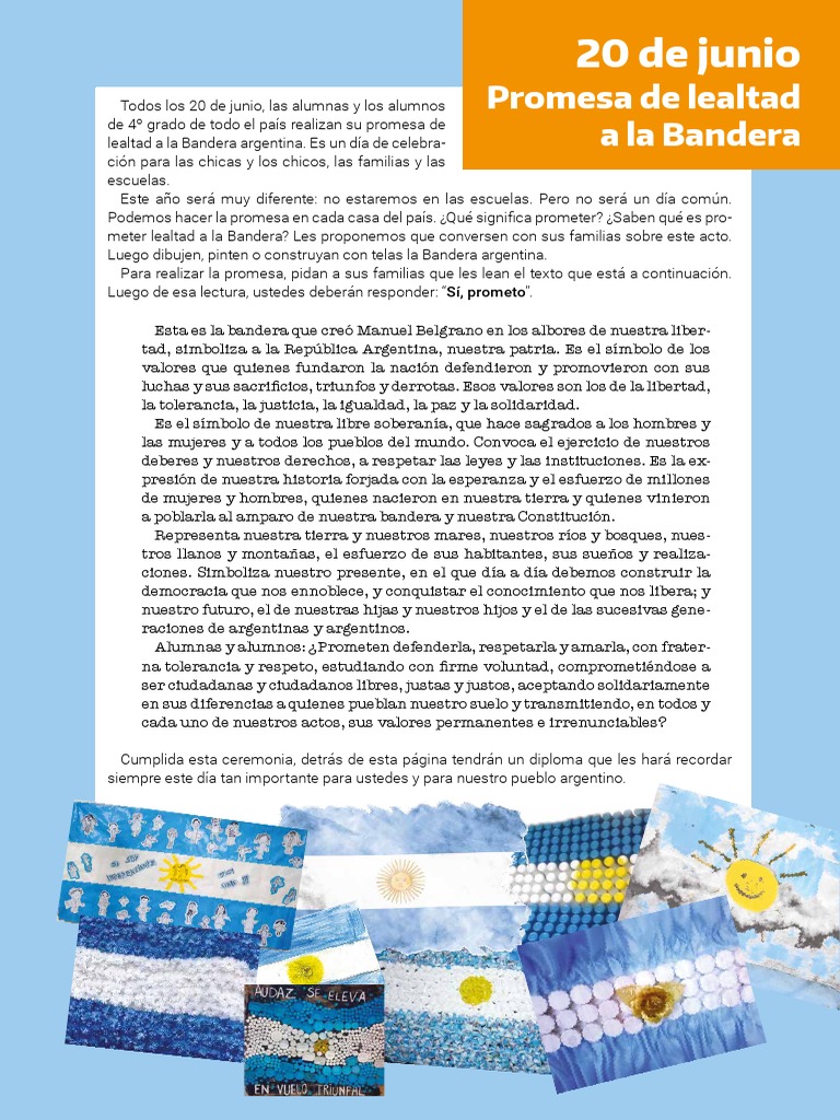 Promesa de Lealtad a la Bandera Argentina | PDF | Gobierno
