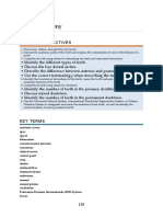 Chapter 4 - Dental Anatomy (Essentials of Dental Assisting)