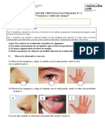 Evaluación Ciencias N3