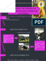 Ginecologia y Obstetricia Veterinaria Exp 3