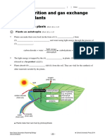 9 Nutrition and Gas Exchange in Plants