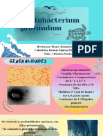 Photobacterium, Profundum