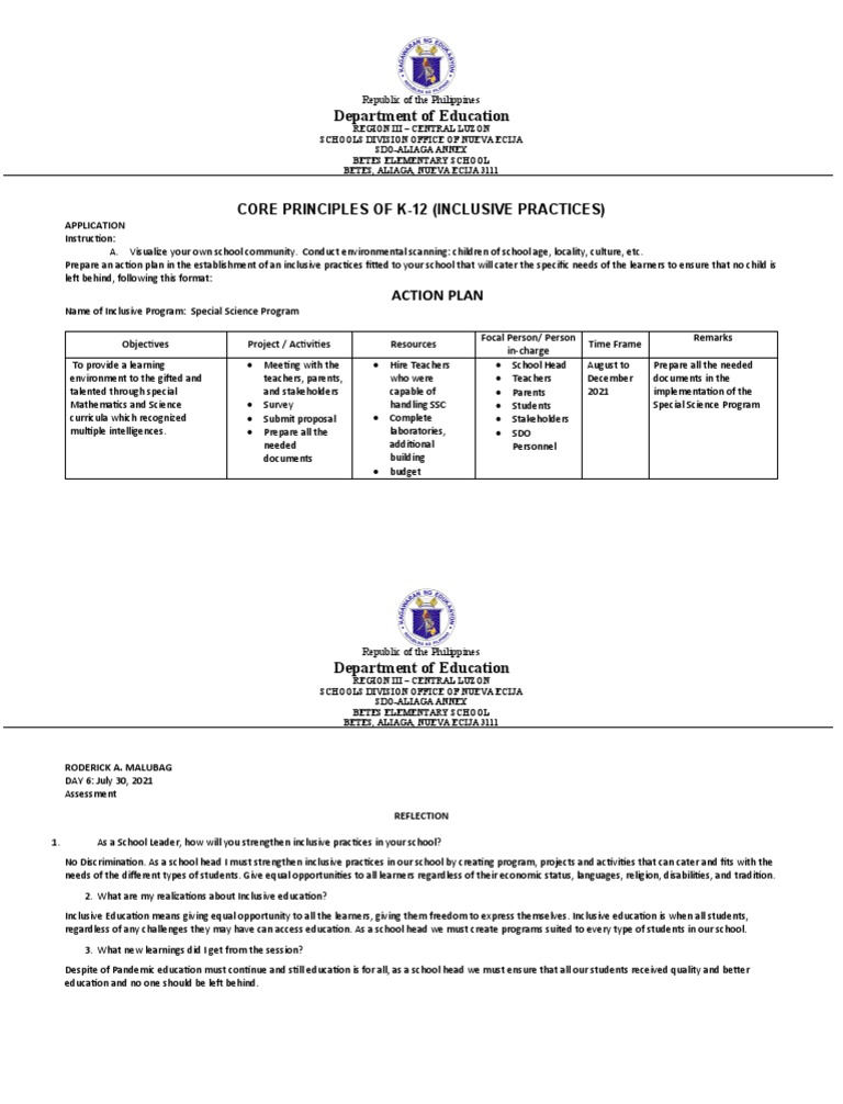 Inclusive Education Action Plan Template | PDF | Inclusion (Education ...