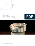 Section 7: Subsurface Safety