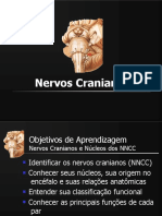 Nervos Cranianos