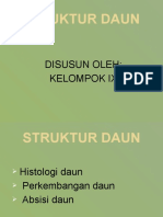 Struktur Daun