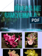 Fdocuments - MX Orquideas de Guatemala