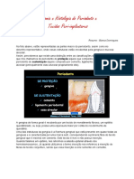 Anatomia Do Periodonto