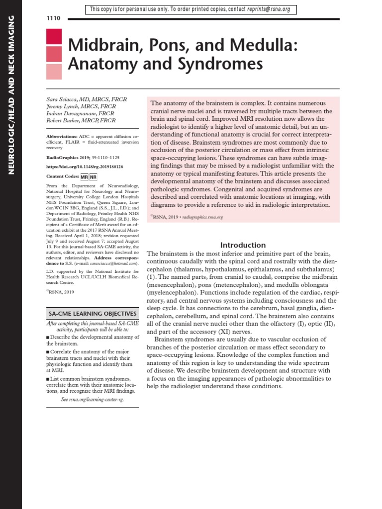 Midbrain, Pons, and Medulla: Anatomy and Syndromes | PDF | Brainstem ...