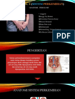 Kelompok 4 (Sistem Perkemihan)
