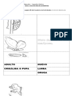 Guía de Ciencias Naturales