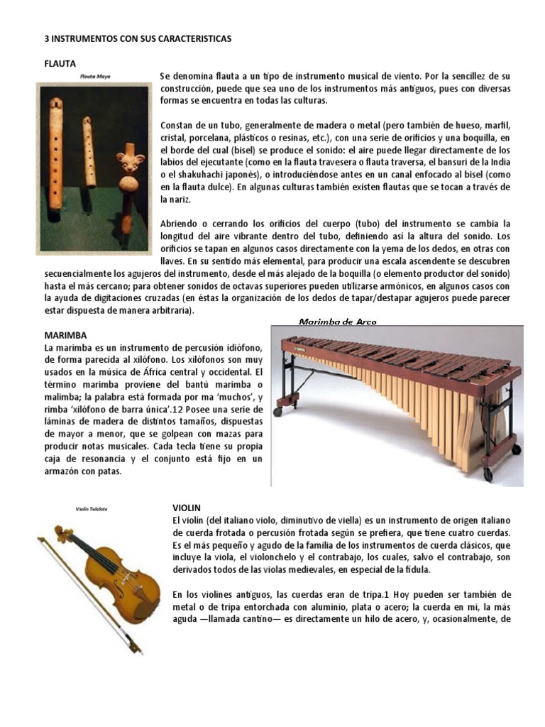 toque Parpadeo Brote 3 Instrumentos Con Sus Caracteristicas | PDF | Flauta | Sonido