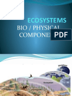 On Ecosystem Bio and Physical Components