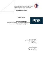 Ensayo Evaluación Del Desempeño de Los Sistemas de Salud