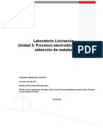 Reporte Lixiviacion Grupo 26 de Julio